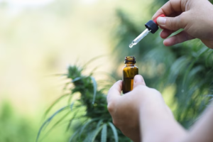 Should I Wait to Eat or Drink After Taking CBD Oil: A Guide