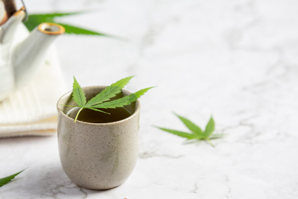 Cup of hemp tea with hemp leaves put on white marble floor,  white small kettle in the corner 